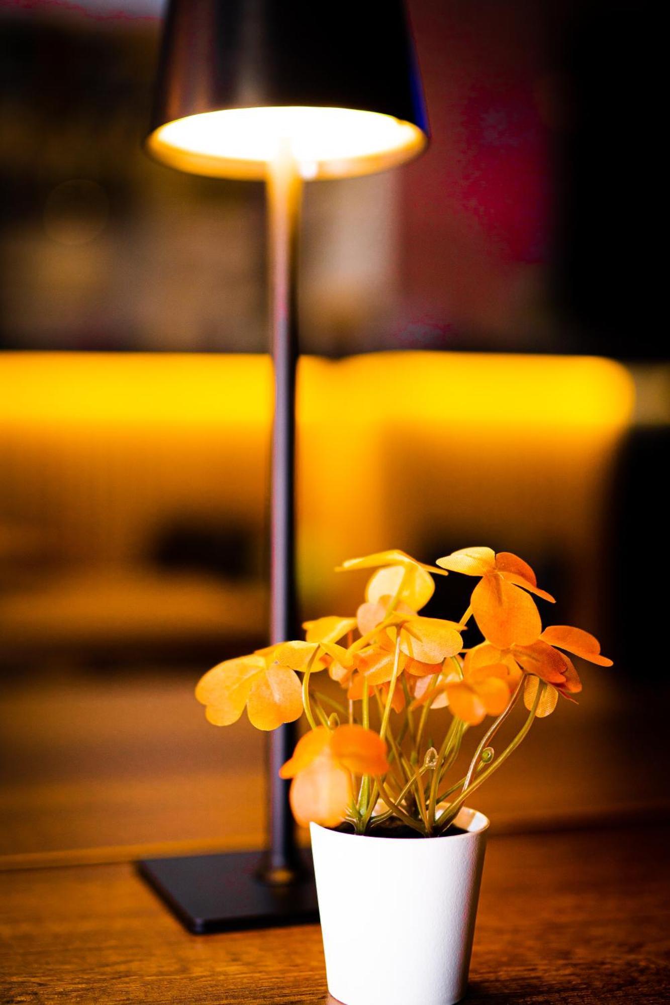 Hotel Professor Leuven Centrum 외부 사진